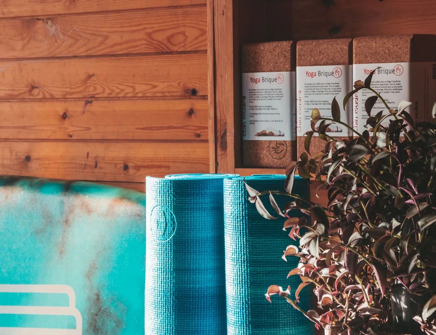 Rolled yoga mats and leafy plants in a warm wooden studio corner