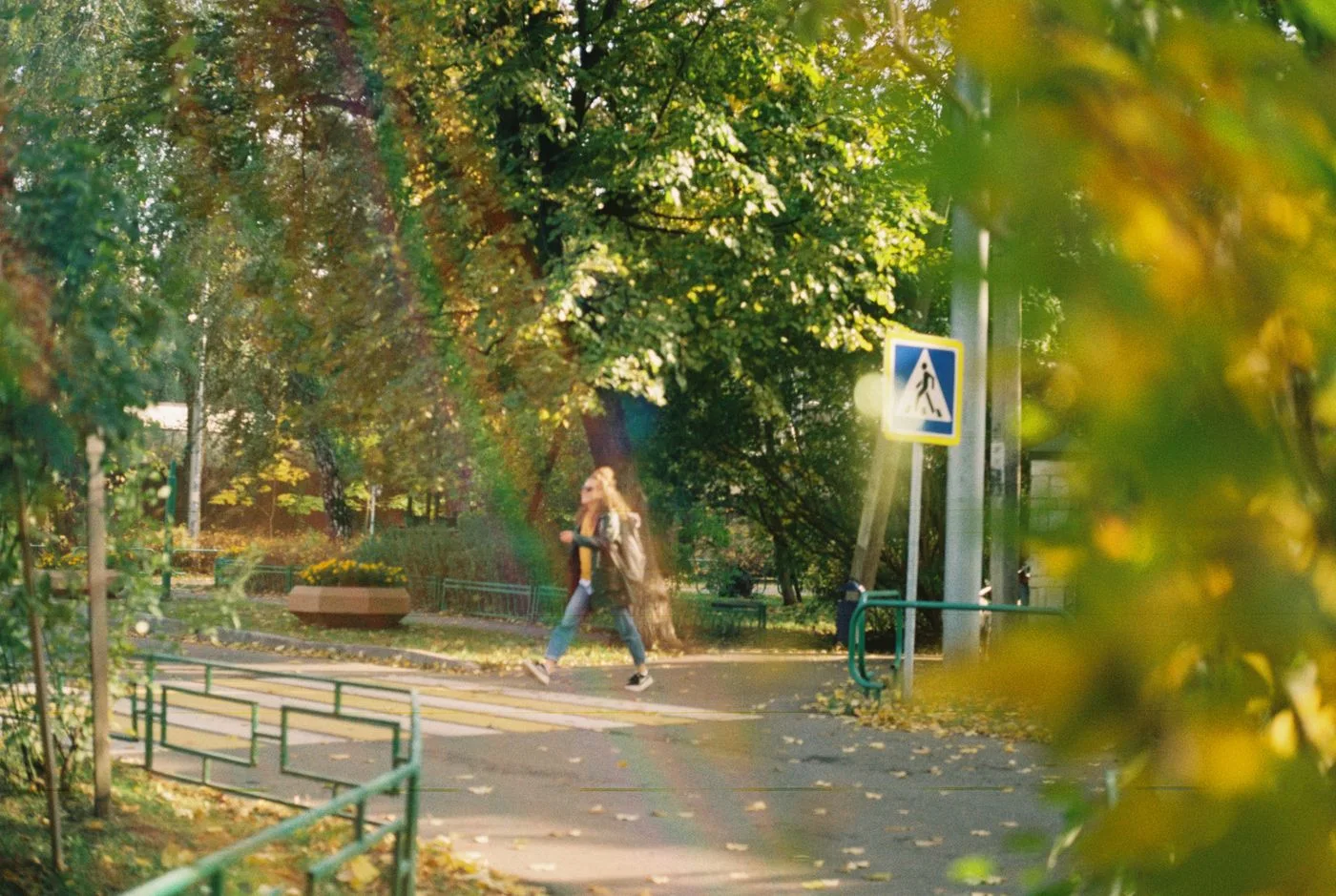 A person walking along a green park path in warm daylight